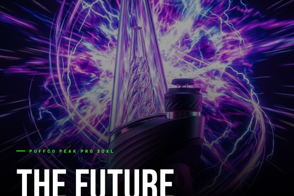 The Future of the Dab.